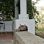 Roda * Panarea