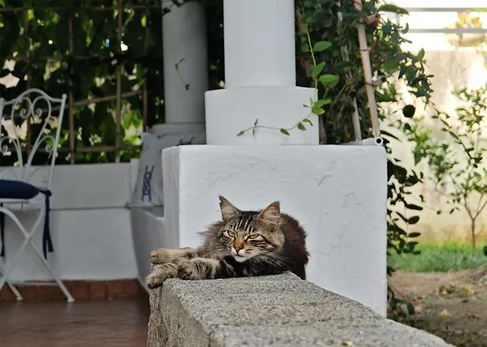 Roda * Panarea